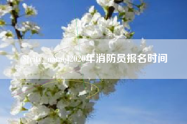 磐石2020年消防员报名时间
