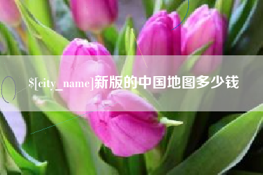 磐石新版的中国地图多少钱