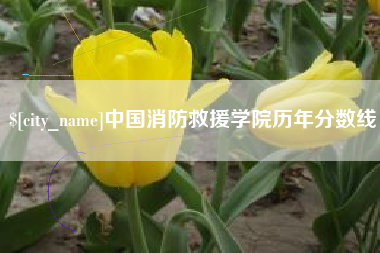 磐石中国消防救援学院历年分数线