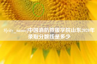 磐石中国消防救援学院山东2020年录取分数线是多少
