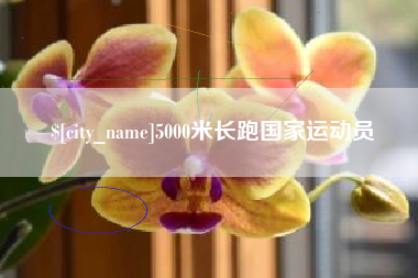 磐石5000米长跑国家运动员
