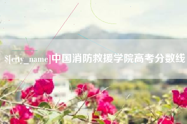 磐石中国消防救援学院高考分数线