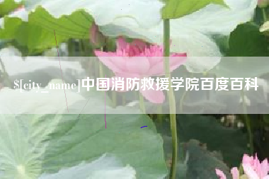磐石中国消防救援学院百度百科