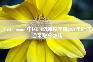 磐石中国消防救援学院2021年浙江省录取分数线