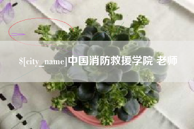 磐石中国消防救援学院 老师
