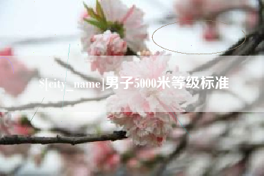 磐石男子5000米等级标准