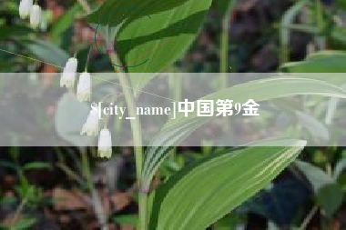 磐石中国第9金