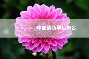 磐石中国消防学校排名