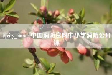 磐石中国消防官网中小学消防公开课