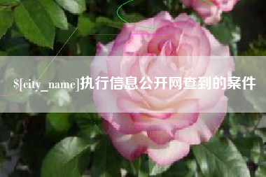磐石执行信息公开网查到的案件