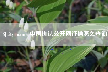 磐石中国执法公开网征信怎么查询