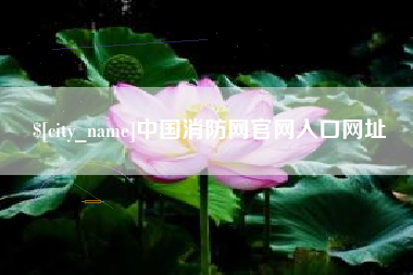 磐石中国消防网官网入口网址