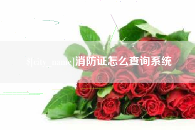 磐石消防证怎么查询系统