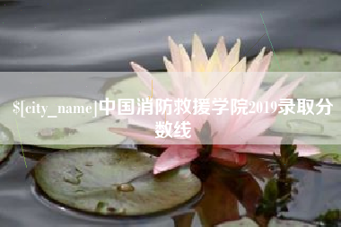 磐石中国消防救援学院2019录取分数线