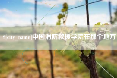 磐石中国消防救援学院在那个地方