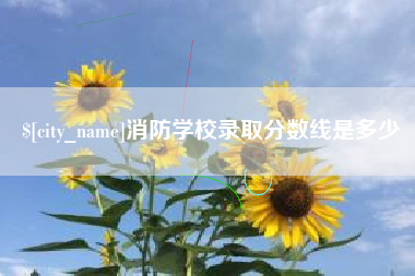 磐石消防学校录取分数线是多少