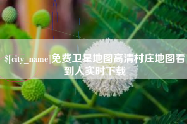磐石免费卫星地图高清村庄地图看到人实时下载