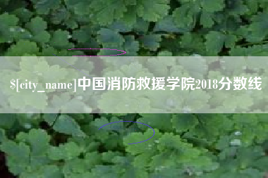 磐石中国消防救援学院2018分数线