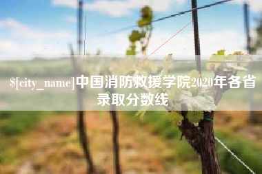 磐石中国消防救援学院2020年各省录取分数线