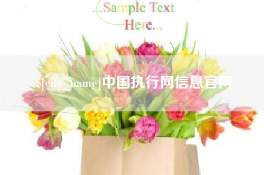 磐石中国执行网信息官网