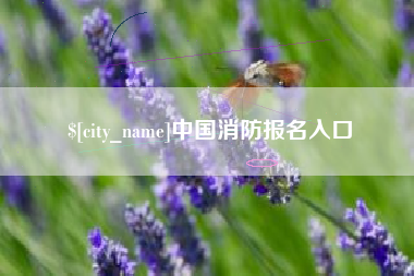 磐石中国消防报名入口