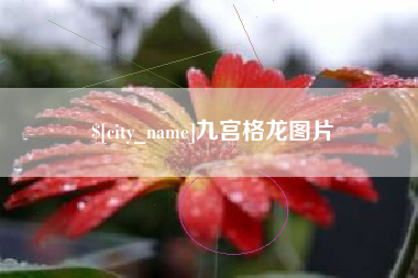 磐石九宫格龙图片