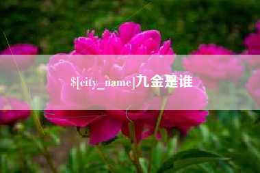 磐石九金是谁