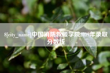 磐石中国消防救援学院2019年录取分数线