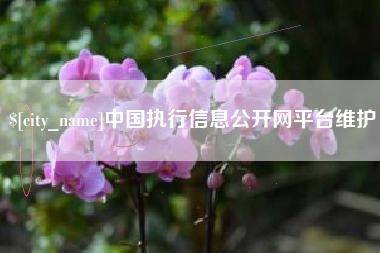磐石中国执行信息公开网平台维护