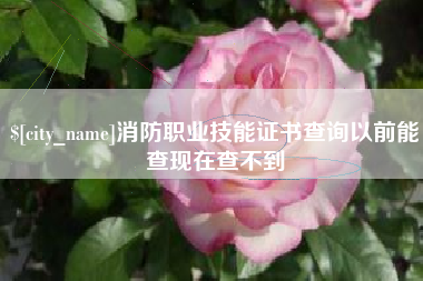 磐石消防职业技能证书查询以前能查现在查不到