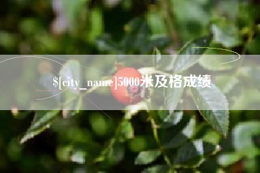 磐石5000米及格成绩