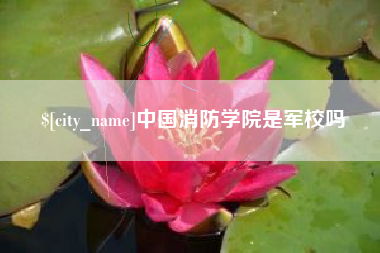 磐石中国消防学院是军校吗