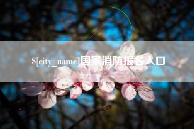 磐石国家消防报名入口