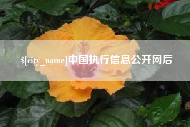 磐石中国执行信息公开网后