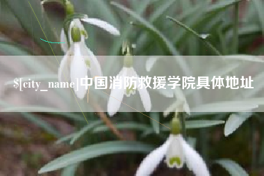 磐石中国消防救援学院具体地址
