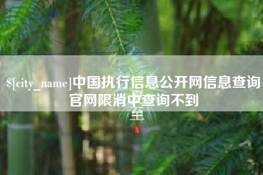 磐石中国执行信息公开网信息查询官网限消中查询不到