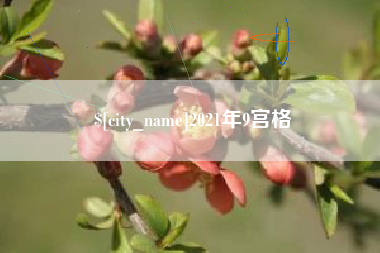 磐石2021年9宫格