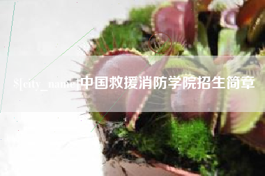 磐石中国救援消防学院招生简章