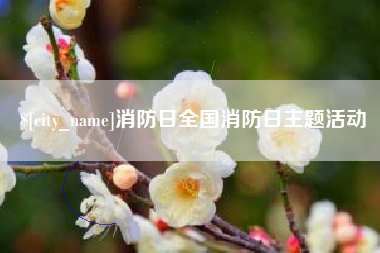 磐石消防日全国消防日主题活动