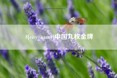 磐石中国九枚金牌