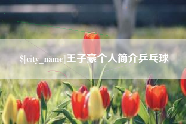 磐石王子豪个人简介乒乓球