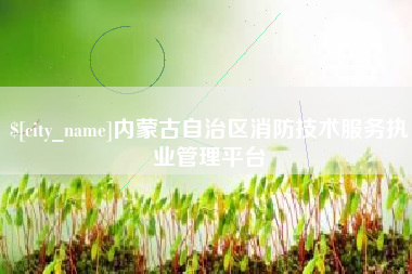 磐石内蒙古自治区消防技术服务执业管理平台