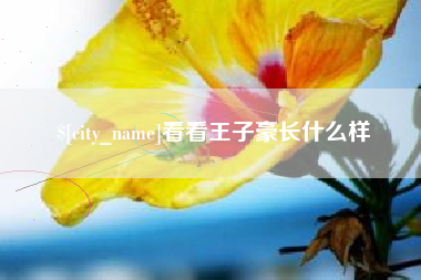磐石看看王子豪长什么样
