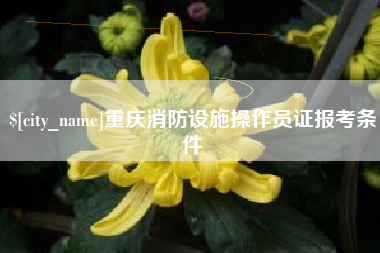 磐石重庆消防设施操作员证报考条件
