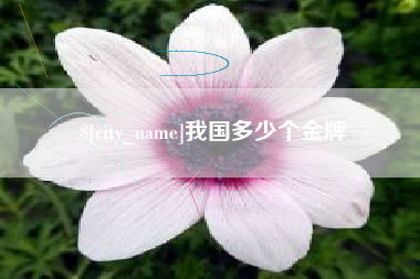 磐石我国多少个金牌