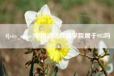 磐石中国消防救援学院属于985吗