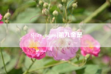 磐石第九金是