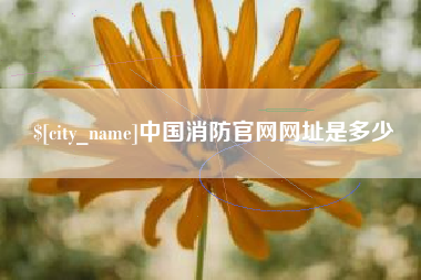 磐石中国消防官网网址是多少