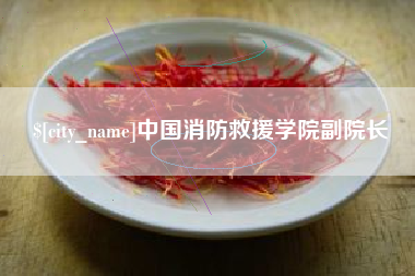 磐石中国消防救援学院副院长