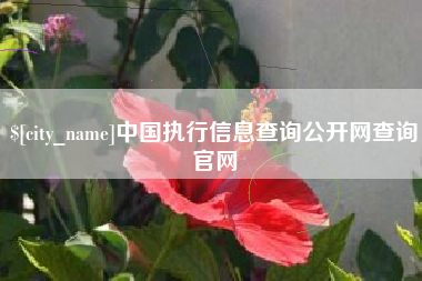 磐石中国执行信息查询公开网查询官网